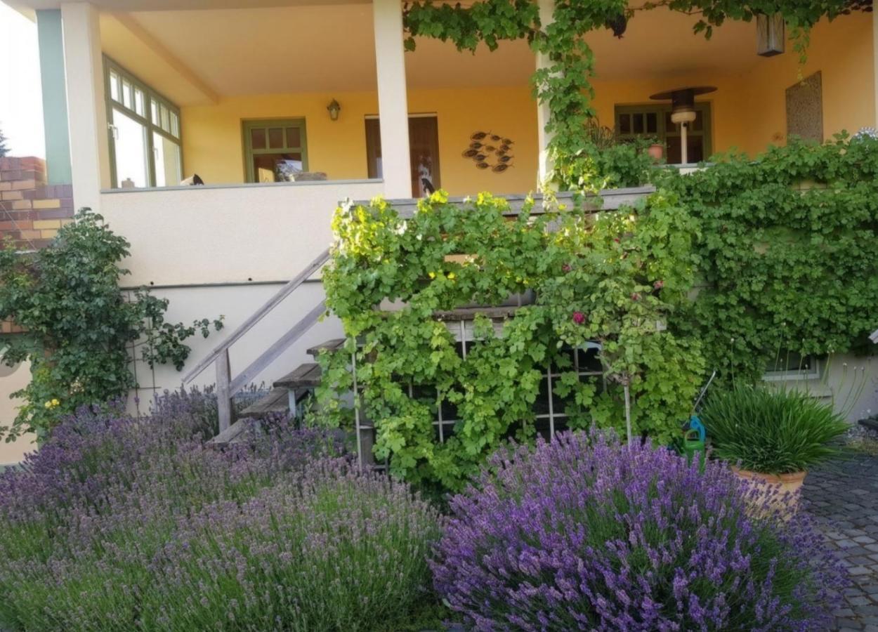 Ferienhaus Schiller Waren  Exteriör bild