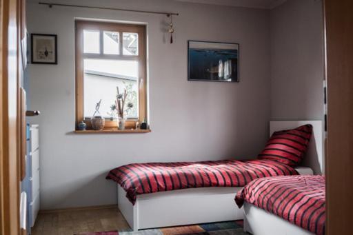 Ferienhaus Schiller Waren  Exteriör bild